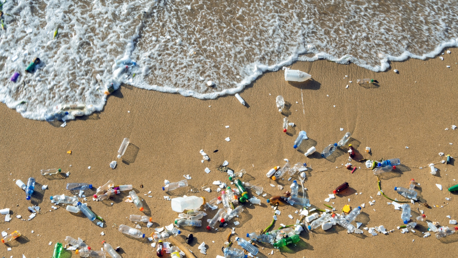 Una playa llena de plásticos