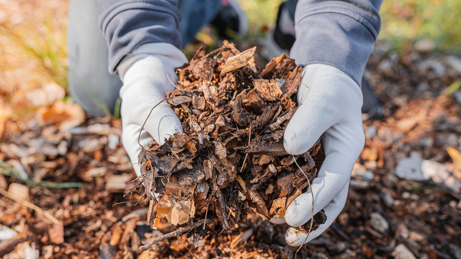 compost-jardin-malaga